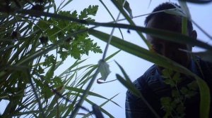 Ручная прополка - вид из грядки