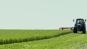 «Зәй» агрофирмасында люцерна чабалар