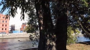 После того, как я купил квартиру, мой брат с женой и ее ?