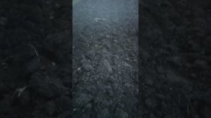 Отзыв о плуге сделанном по моим видео!