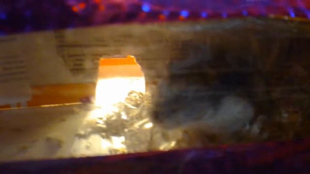 ❤ МОЙ САМОДЕЛЬНЫЙ ДОМ ДЛЯ ХОМЯКА❤ смотреть онлайн