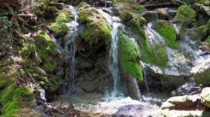 Замшелое русло Кучук-Узенбаш.