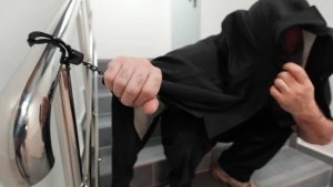Вьетнам выдал России преступника, совершившего серию убийств под Москвой
