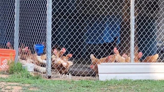 В ДЕРЕВНЕ РАБОТЫ ОЧЕНЬ МНОГО / США / ЧИЩУ ВОДОСТОКИ / Ж? смотреть онлайн