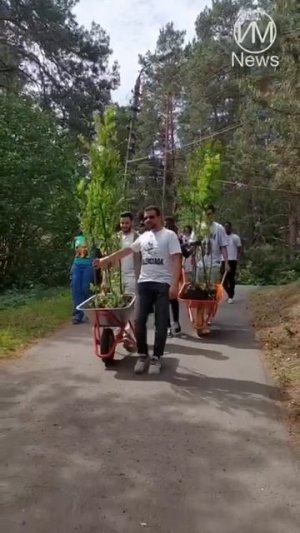 Сажаем деревья на Аллее Африки в УОК «Политехник»!