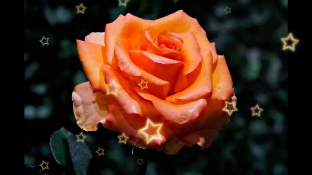 «Я ПРИЕХАЛА К СЫНУ ЖИТЬ, А ВЫ ЗДЕСЬ НИКТО, ВНУК ПУСТЬ КО смотреть онлайн