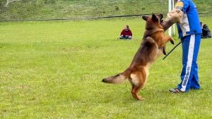 5 Отл. Ал&Ан ГАЙКА +++ №77 / КЧК+ БОРИСОВ (BY) 17 мая`25 M.Jovovic Моно нем.овч.