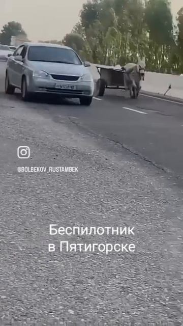 Яндекс запустил беспилотное такси 🤣 #shorts #приколы