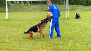 2 Отл. QUITO v. Team Huhnegrab +++ №35 / Кубок Беларуси 17 мая`25 M.Jovovic Моно нем.овч.