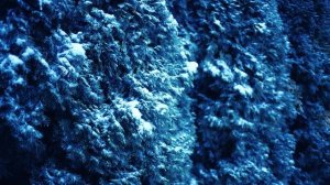 Снежная зима. Снег летит | Футажи красивая природа 4K