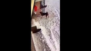 Всячинки