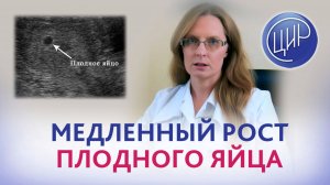 Медленный рост плодного яйца - угроза замершей беременности? Дрожжина А.И.