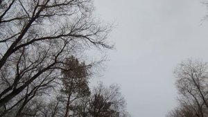 Квартиру с вами делить не стану, Наталья Николаевна! - ?