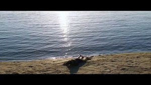 За бортом (2018)