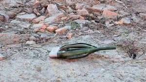 11 ФИДЕРНЫХ ХИТРОСТЕЙ, о которых молчат профи! Увеличиваем улов в 2 раза