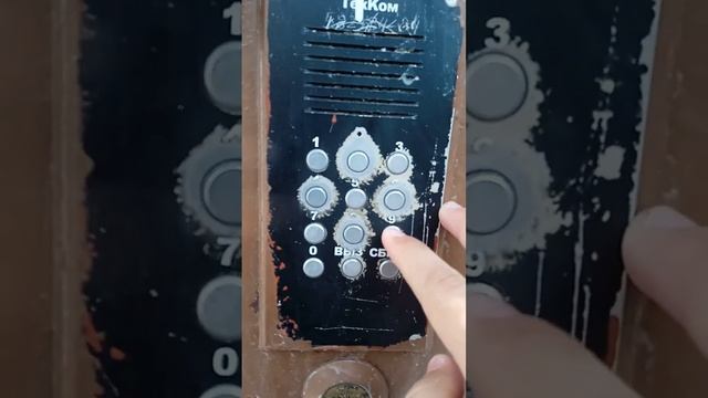 Домофон Техком ДА-65Т-РУ1 после замены платы с прошивкой, Новомытищинский пр-т. 82к4а, подъезд 2