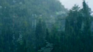 Хор природы: ангельская музыка для души ☔️