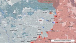 Фронтовая сводка 29 мая