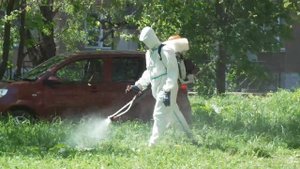 Человек в костюме охотника за приведениями стал настоящим героем утреннего патруля в городе Злато...