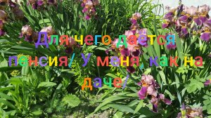 Для чего даëтся пенсия/ У меня, как на даче/