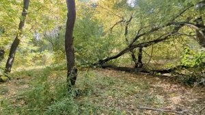 Почему я должна продать свою добрачную квартиру и отд?
