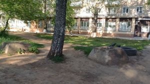 Время для отдыха и размышлений. Прогулки без повода