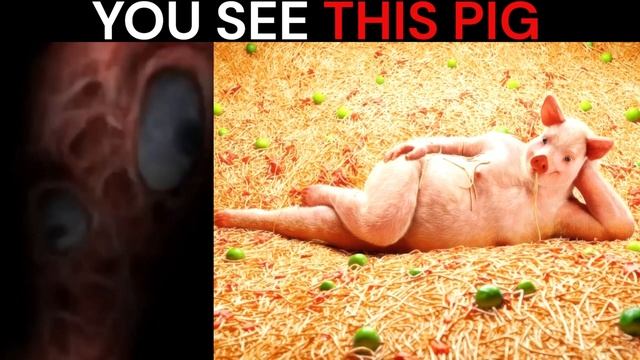 Mr Incredible Becoming Uncanny Meme (you see this pig) | 100+ phases смотреть онлайн