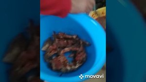 Балик ковуриш.#Как_вкусно_пожарить_рыбу