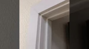 Дверь межкомнатная PS 33 дуб перламутровый