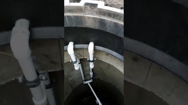 Полив и Алиса. Управление Яндекс станцией
