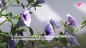 В Заводоуковске высаживают цветы и благоустраивают парки
