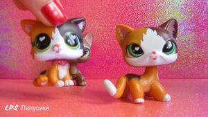 LPS мои Новые петы 2019/ THE OLD LPS ARE BACK FOR MORE! Brand New Short Hair Cats!
