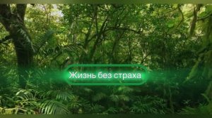 Медитация 432 Гц: Звуки Природы для Глубокого Расслабле