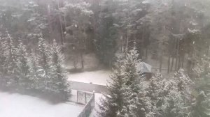 Отдых Санаторий Приозёрный/Нарочь Беларусь 🇧🇾