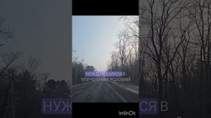 Бесплатное жилье: как получить квартиру от государств