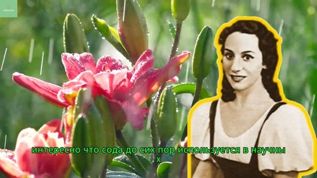 ЖАЛЬ ЧТО РАНЬШЕ ЭТОГО НЕ ЗНАЛ РЕЦЕПТ ИЗ СССР! Гениальн? смотреть онлайн