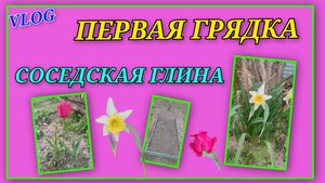 🍒 VLOG: Забрали соседскую глину/Начали устанавливать грядки, первая готова/Проводили семью в Москву