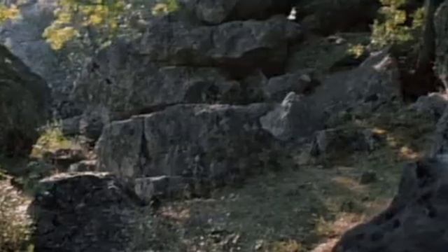 Фильм-сказка Огонь, вода и медные трубы 1968 смотреть онлайн