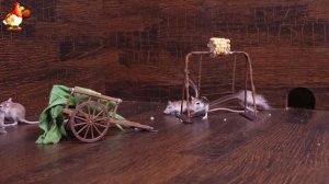 Видео для кошек про крысок развлекать питомцев 🐭🐀😂 (131)