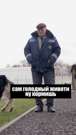 А как бы вы поступили?  #зек #историиизжизни #зэк
