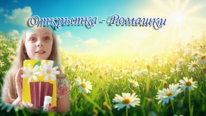 Открытка Ромашки