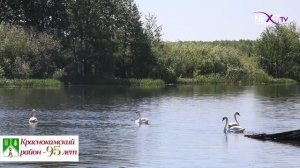 К 95-летию района: Новоянзигитовский сельсовет