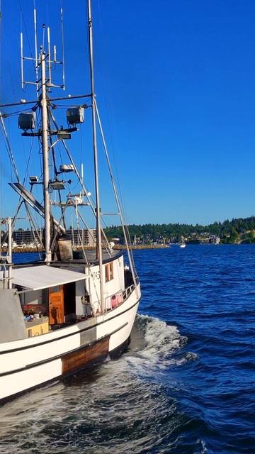 🎣 Историческое рыболовное судно в Сиэтле – знакомьтесь, «Пеликан» 🚢
Представляем вам Пеликан