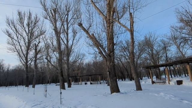 Муж хотел продать мою квартиру, чтобы отдать долг его ?