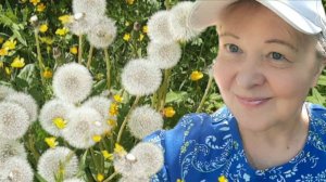 Для просмотра всем, кто любит природу. Прогулка к роднику.