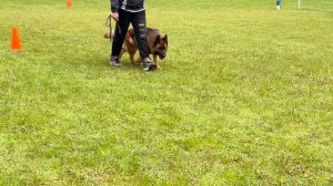 5 Отл. Ал&Ан ГАЙКА +++ №77 / КЧК+ БОРИСОВ (BY) 17 мая`25 M.Jovovic Моно нем.овч.