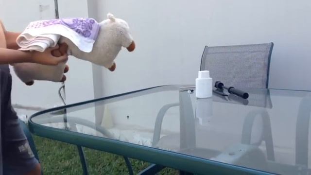 სათამაშოების ვეტერინარები სერია 1 игр?