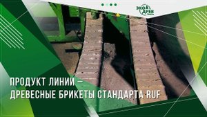 Экодрев Тверь Линия брикетирования