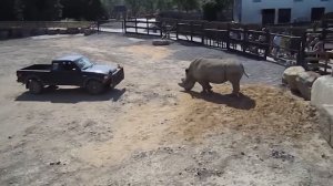 200 НЕВЕРОЯТНЫХ МОМЕНТОВ, СНЯТЫХ НА КАМЕРУ. ЛУЧШЕЕ ЗА МЕСЯЦ