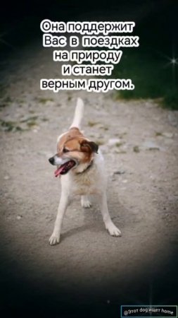 Кокетка Зита